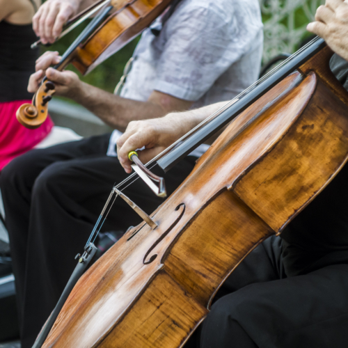 close up street musician playing violin instrument jazz music performer